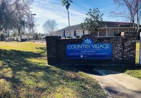 2486 Crossridge Rd, Orange City, Florida 32763. Price $22,900, 11245084